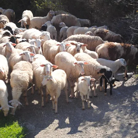 Апартаменты Beaufort *