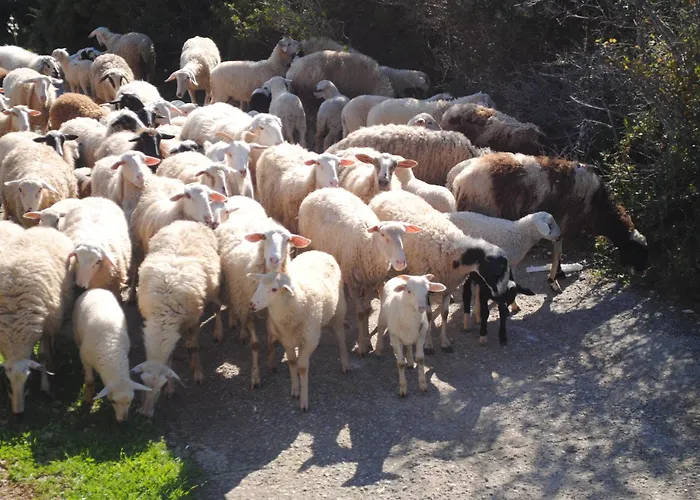 Apartament Beaufort *